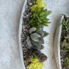 Mini concrete Succulent Boat - Image 2