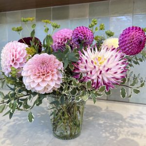 Locally grown Dahlias