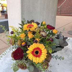 Designers choice Fall – Benefits Shower the People