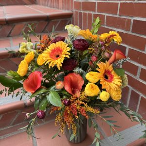 Designers choice Fall - Benefits Shower the People